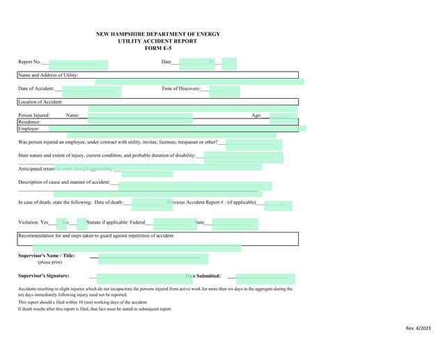 UTILITY ACCIDENT REPORT FORM E 5 screenshot