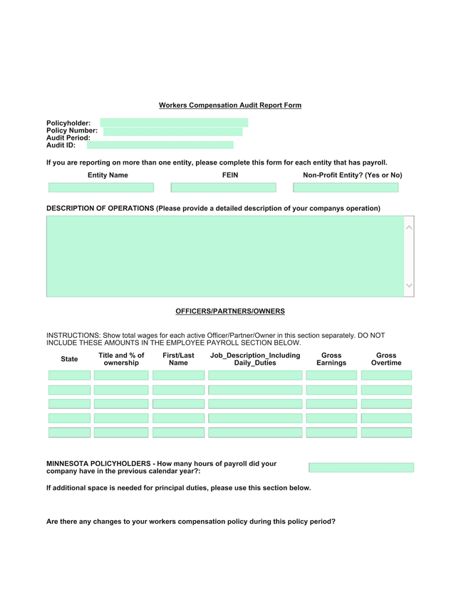 Workers Compensation Audit Report Form screenshot