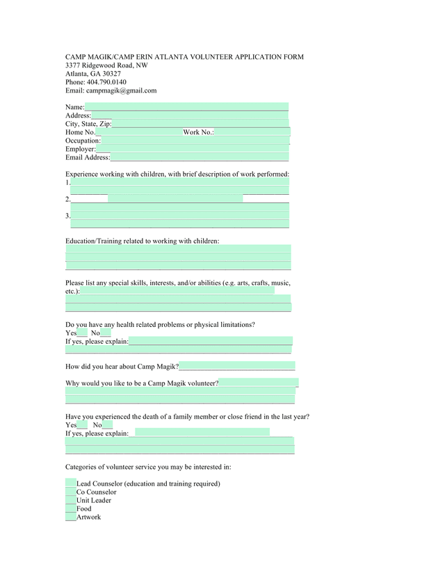 Camp MagikCamp Erin Atlanta Volunteer Application Form screenshot