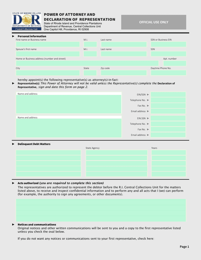 Power Of Attorney And Declaration Of Representation screenshot
