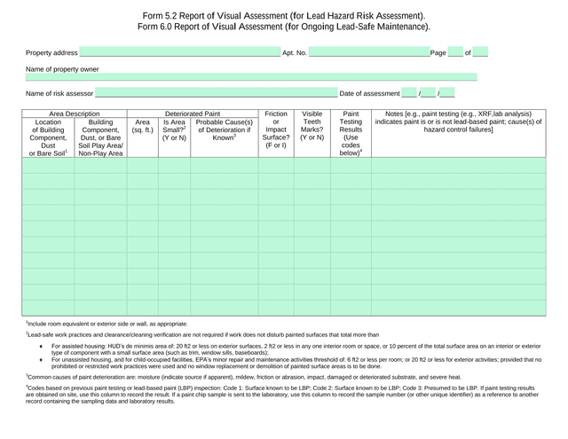 Form 5.26.0 Report Of Visual Assessment screenshot