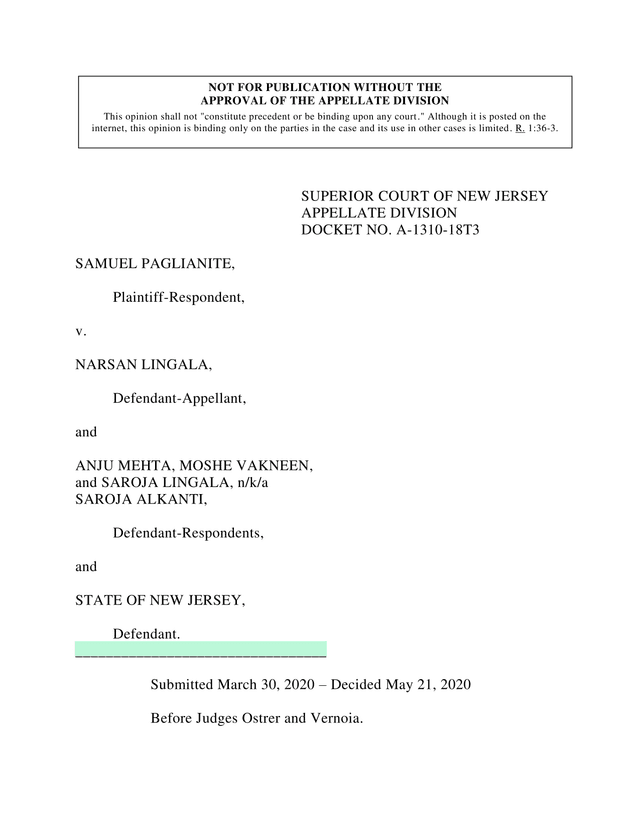 Paglianite V. Lingala Appellate Division Case screenshot
