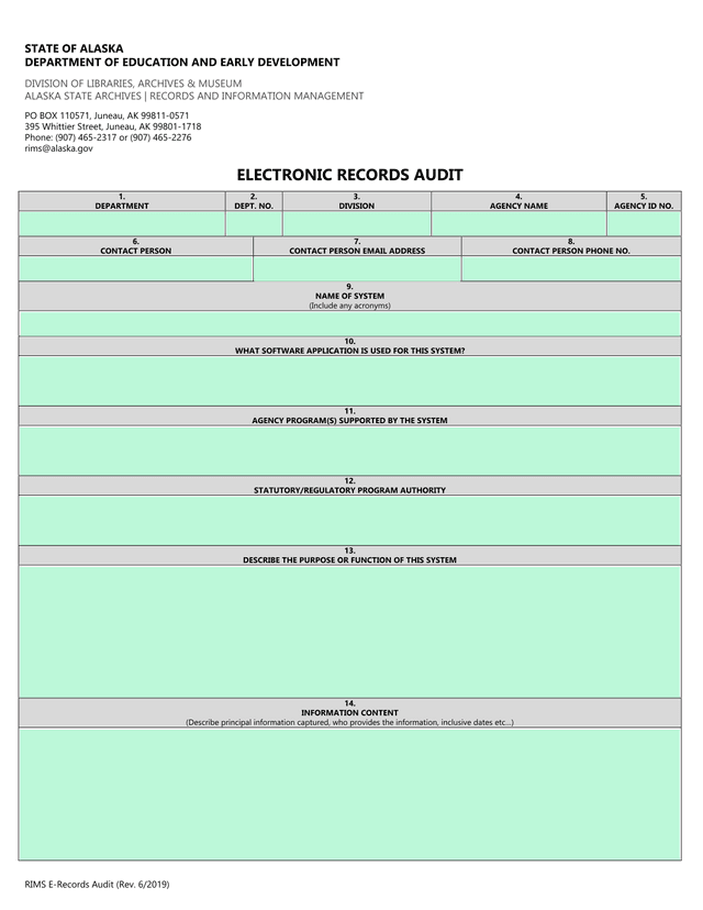 Electronic Records Audit screenshot