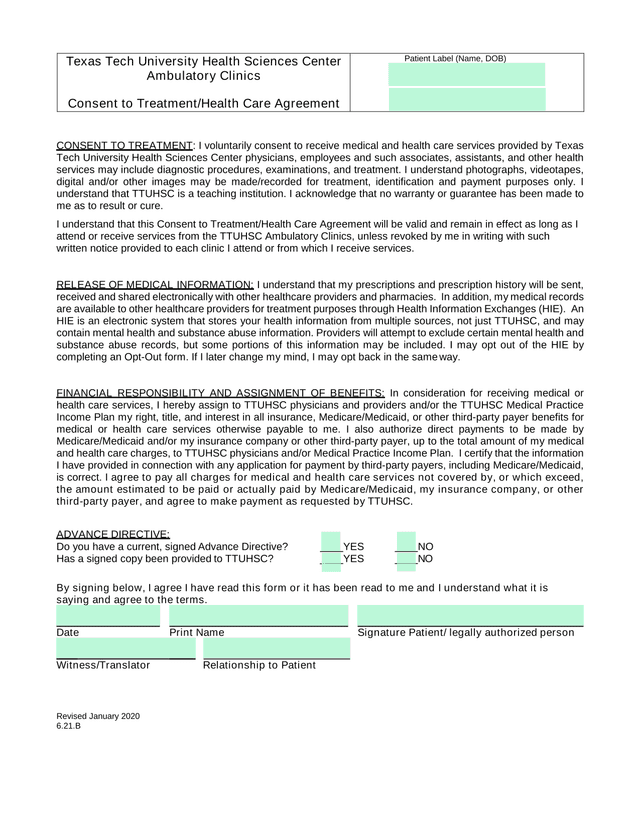 Consent To TreatmentHealth Care Agreement screenshot
