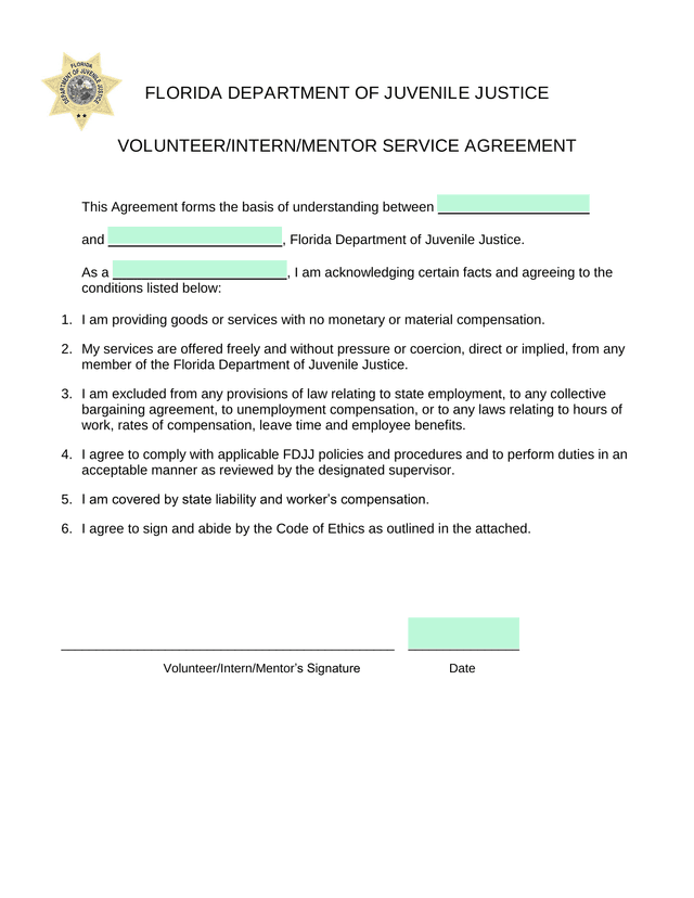VOLUNTEERINTERNMENTOR SERVICE AGREEMENT screenshot