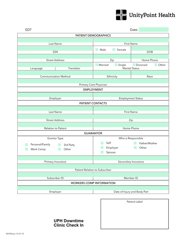 Patient Demographics Form screenshot