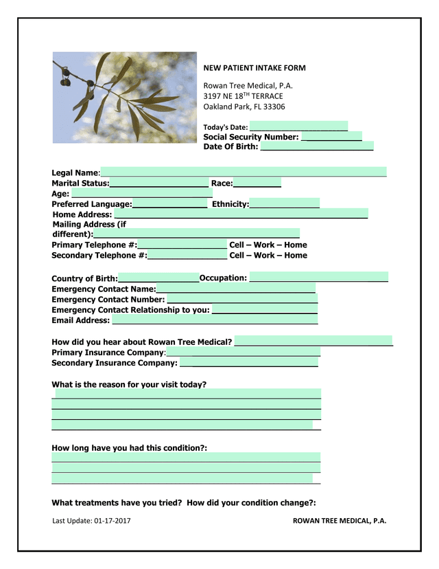 New Patient Intake Form screenshot