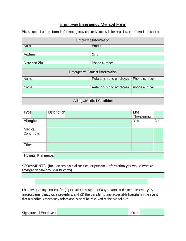Employee Emergency Medical Form screenshot