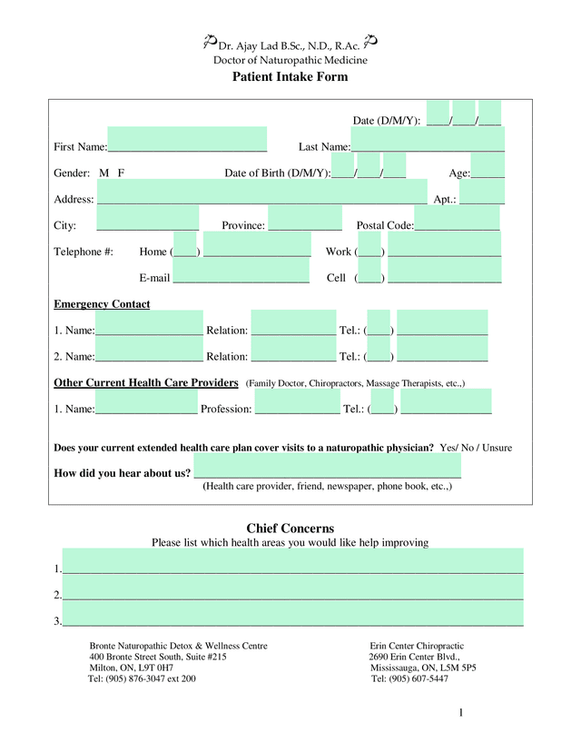 Patient Intake Form screenshot