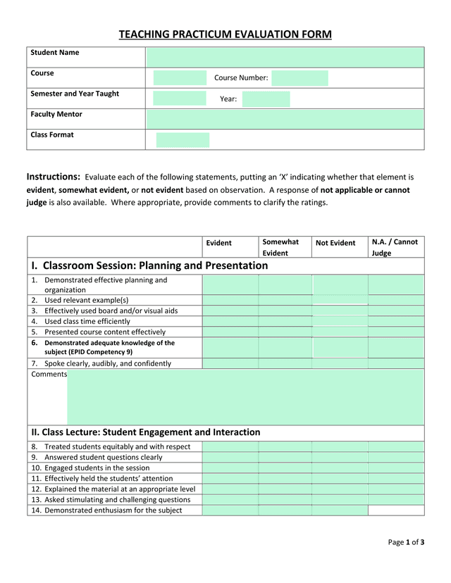 Teaching Practicum Evaluation Form screenshot