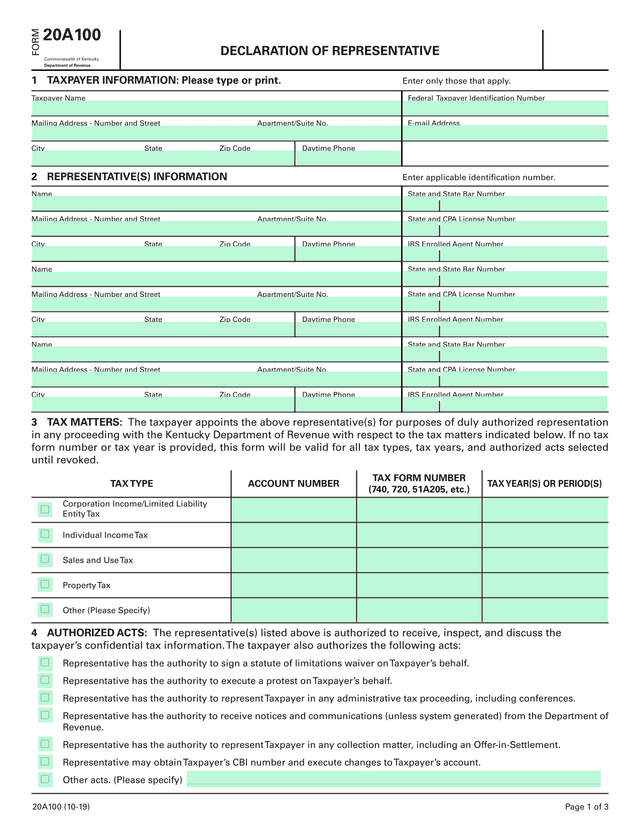 DECLARATION OF REPRESENTATIVE screenshot