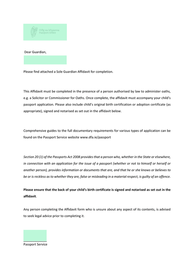 Sole Guardian Affidavit screenshot
