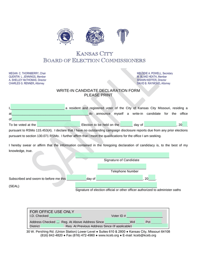Write In Candidate Declaration Form screenshot