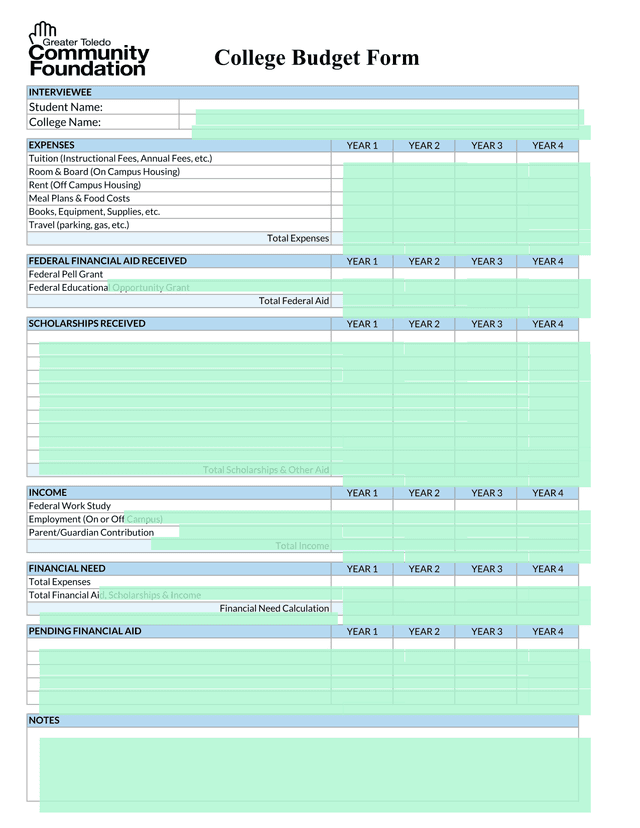 College Budget Form screenshot
