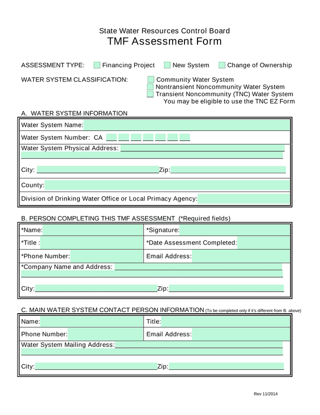 TMF Assessment Form screenshot