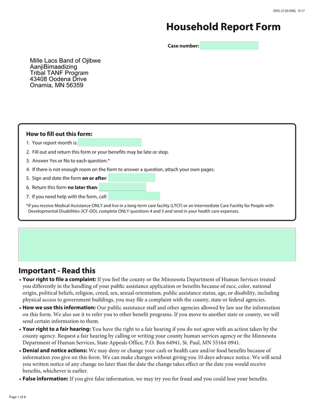 Household Report Form screenshot