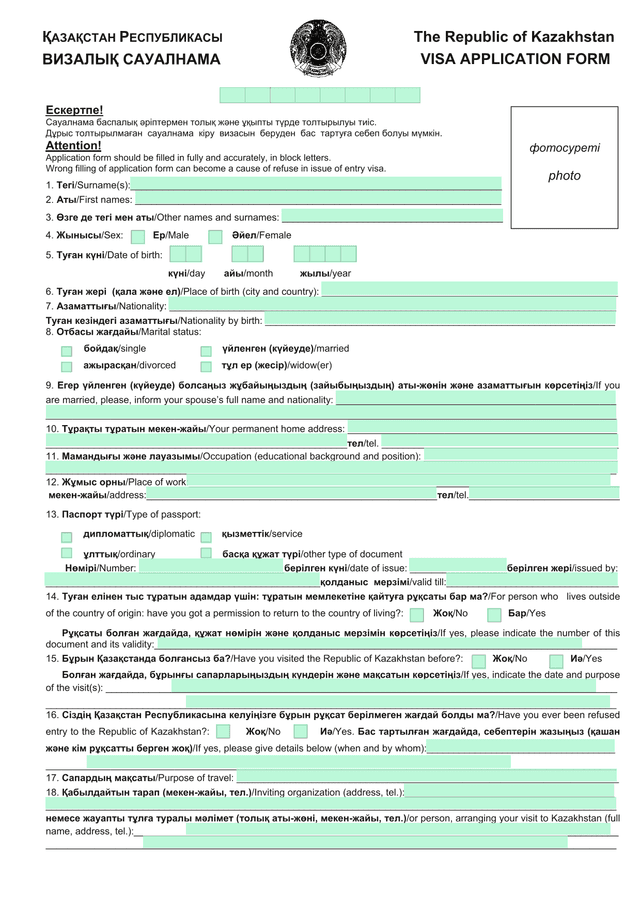 VISA APPLICATION FORM screenshot