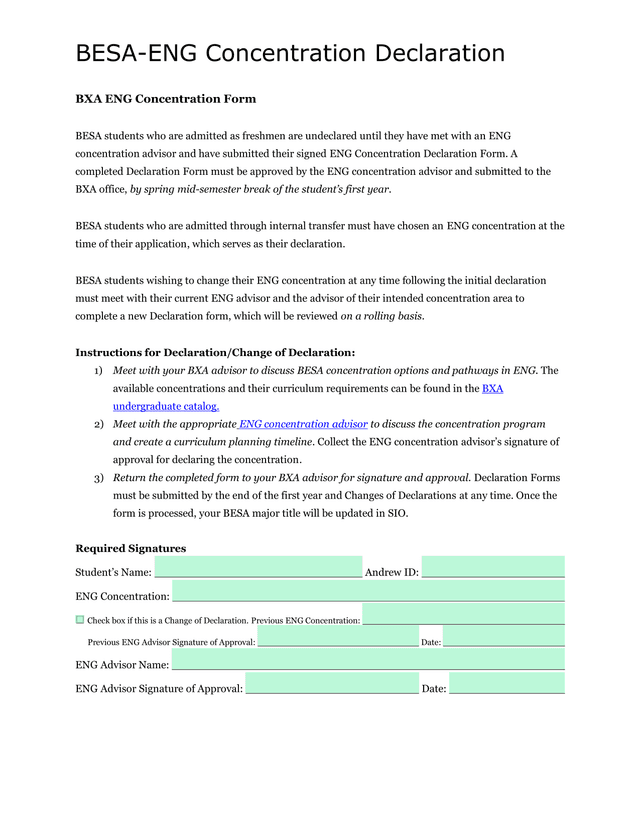 BESA ENG Concentration Declaration Form screenshot