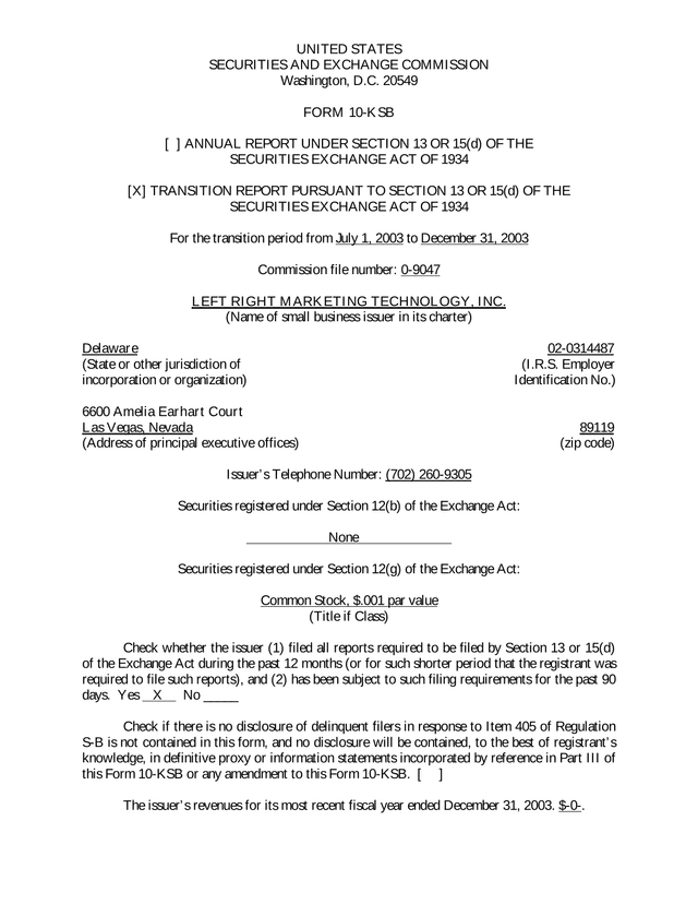 Form 10 KSB screenshot