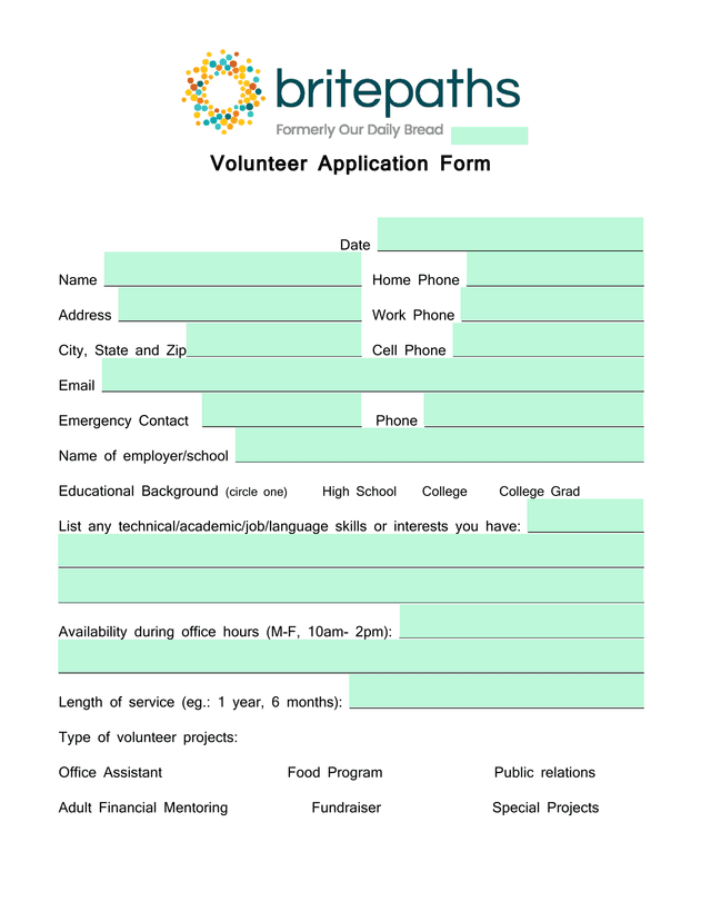 Volunteer Application Form screenshot