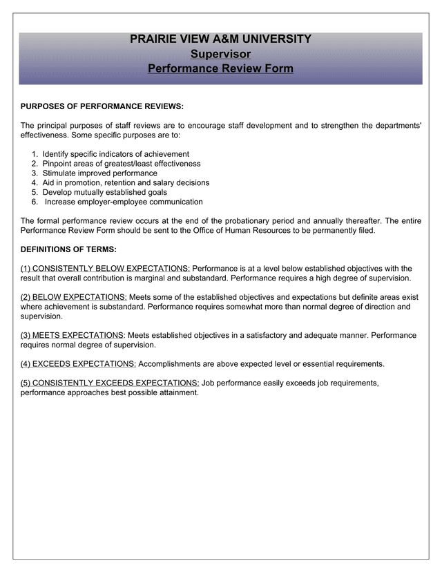 Supervisor Performance Review Form screenshot
