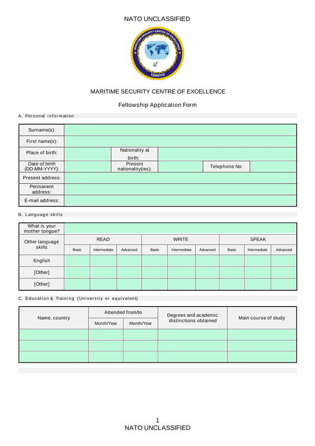 Fellowship Application Form screenshot