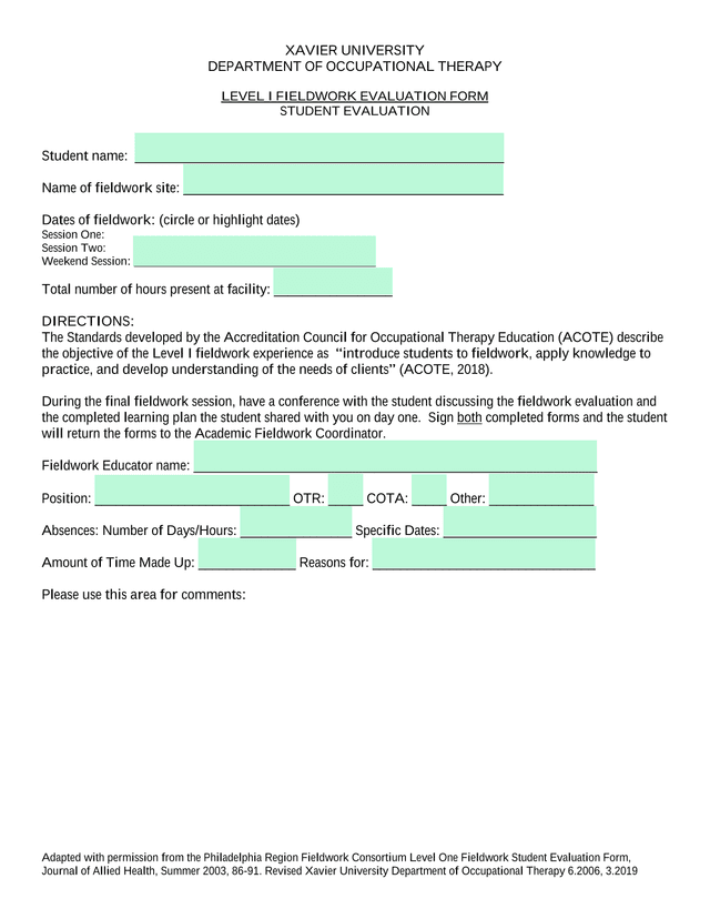 LEVEL I FIELDWORK EVALUATION FORM screenshot