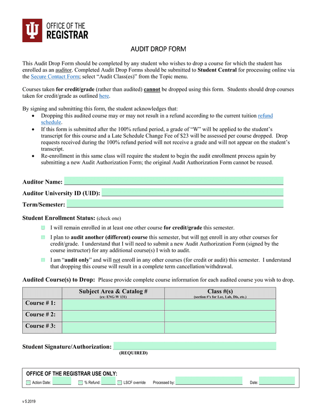 Audit Drop Form screenshot