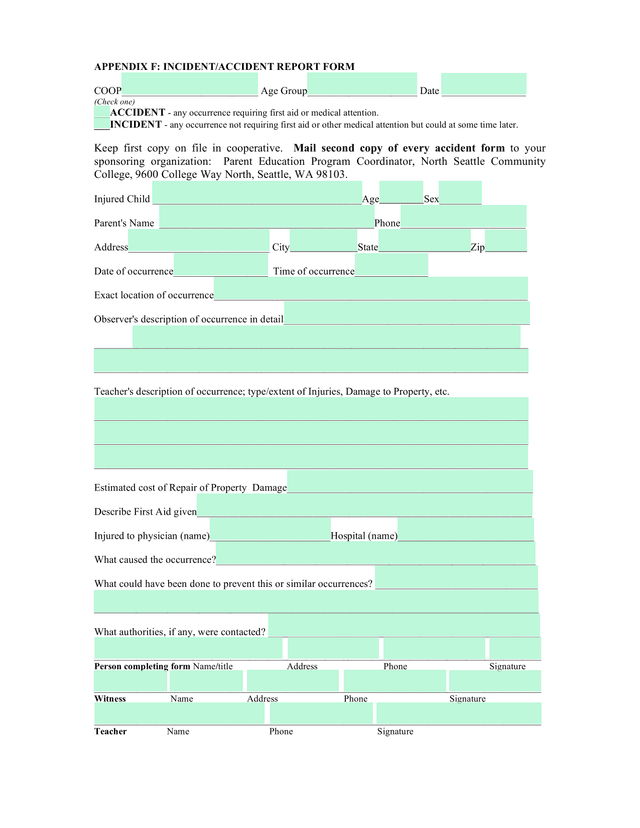 APPENDIX F INCIDENTACCIDENT REPORT FORM screenshot