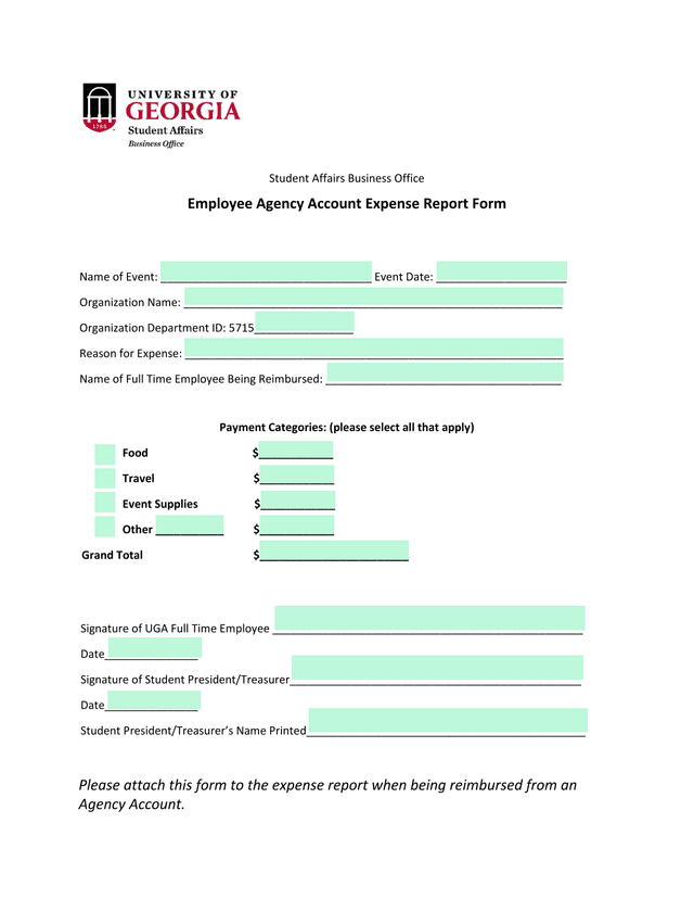 Employee Agency Account Expense Report Form screenshot