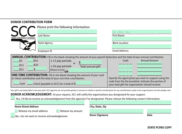 DONOR CONTRIBUTION FORM screenshot