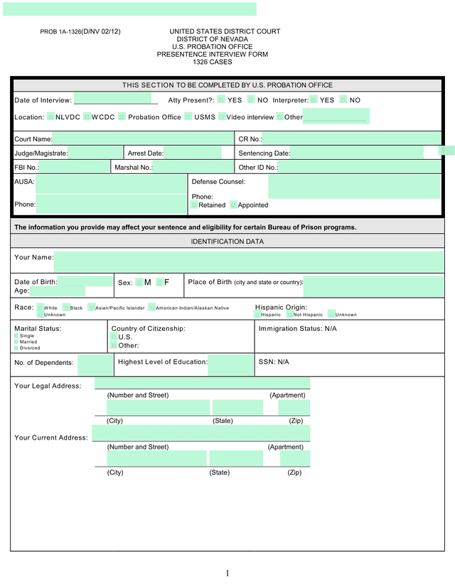 PRESENTENCE INTERVIEW FORM 1326 CASES screenshot