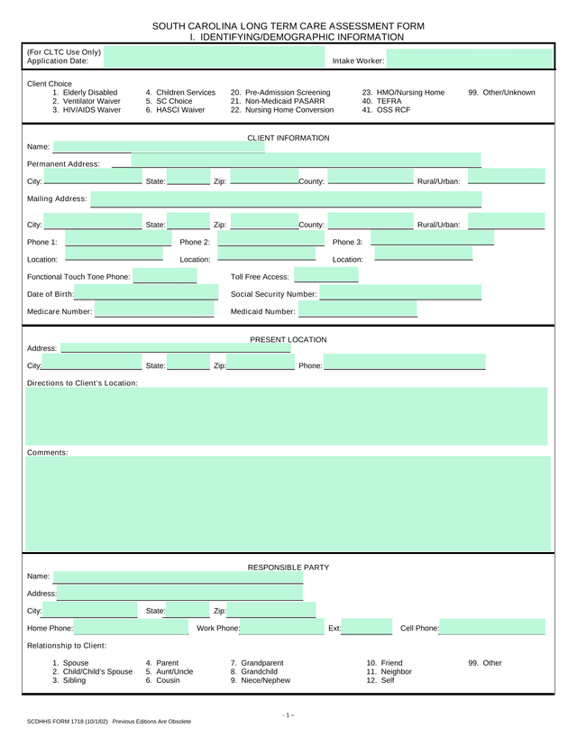 South Carolina Long Term Care Assessment Form screenshot