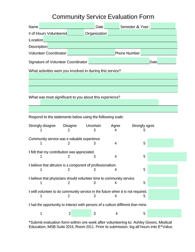 Community Service Evaluation Form screenshot