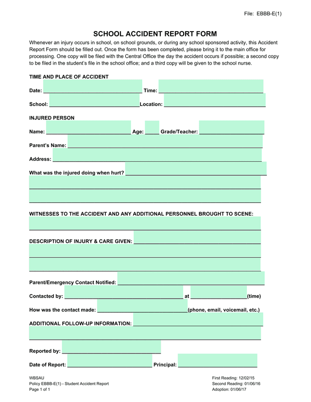 SCHOOL ACCIDENT REPORT FORM screenshot