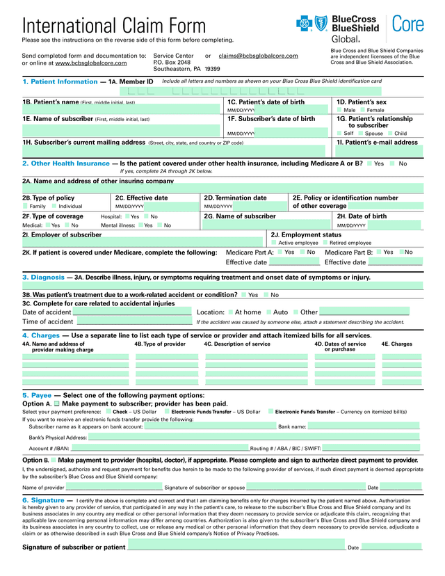 Health Insurance Claim Form screenshot