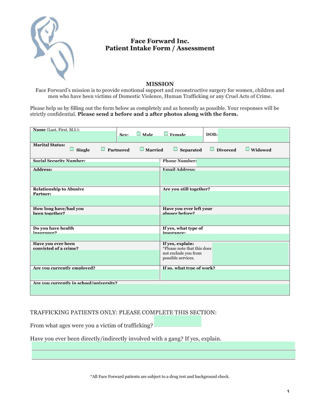 Face Forward Inc. Patient Intake Form  Assessment screenshot
