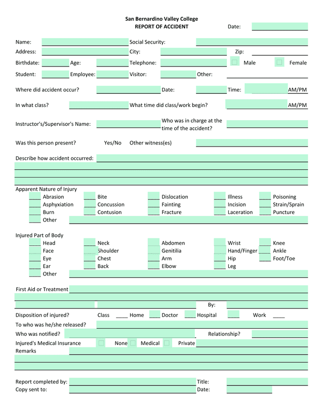 REPORT OF ACCIDENT screenshot