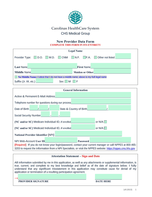 New Provider Data Form screenshot