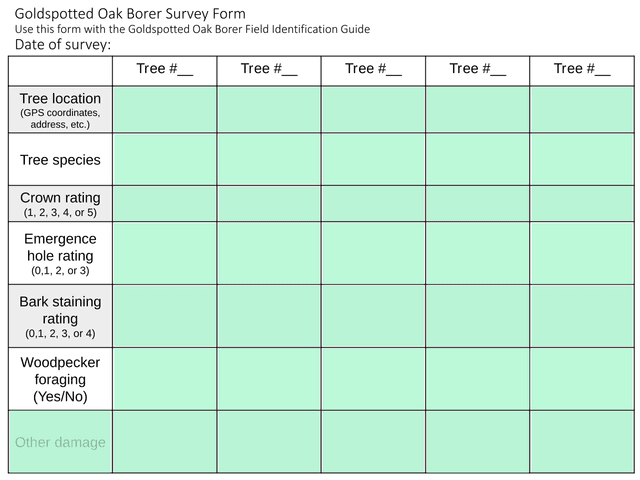 Goldspotted Oak Borer Survey Form screenshot