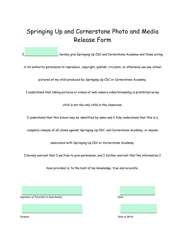 Springing Up And Cornerstone Photo And Media Release Form screenshot