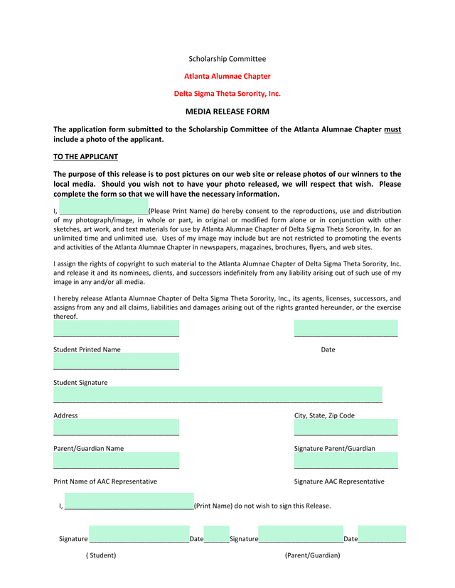 Media Release Form screenshot
