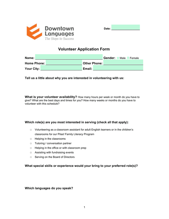 Volunteer Application Form screenshot