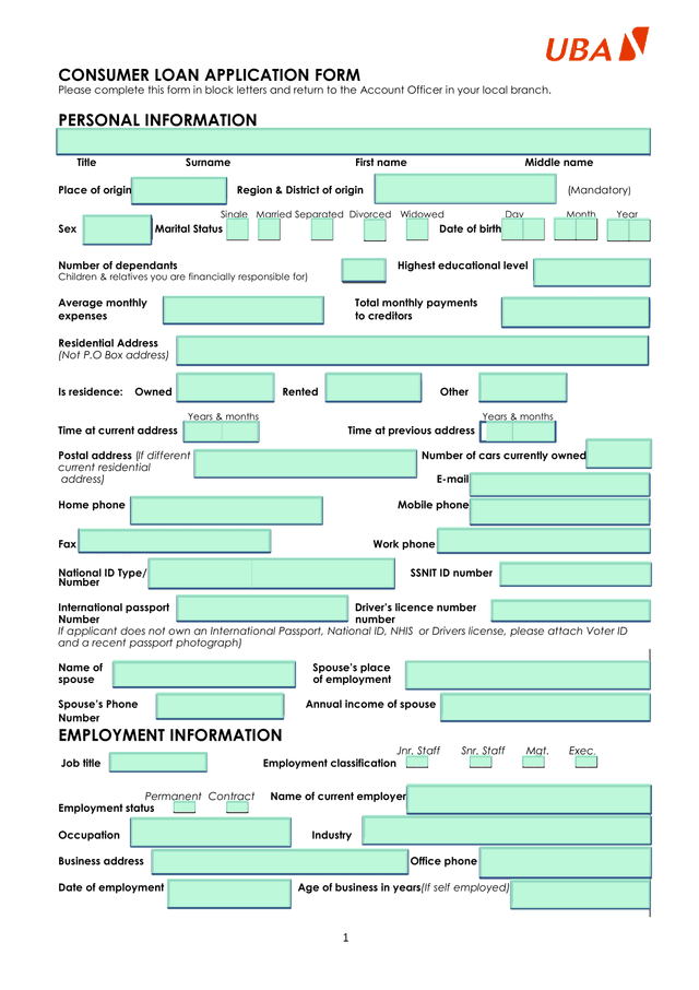 CONSUMER LOAN APPLICATION FORM screenshot