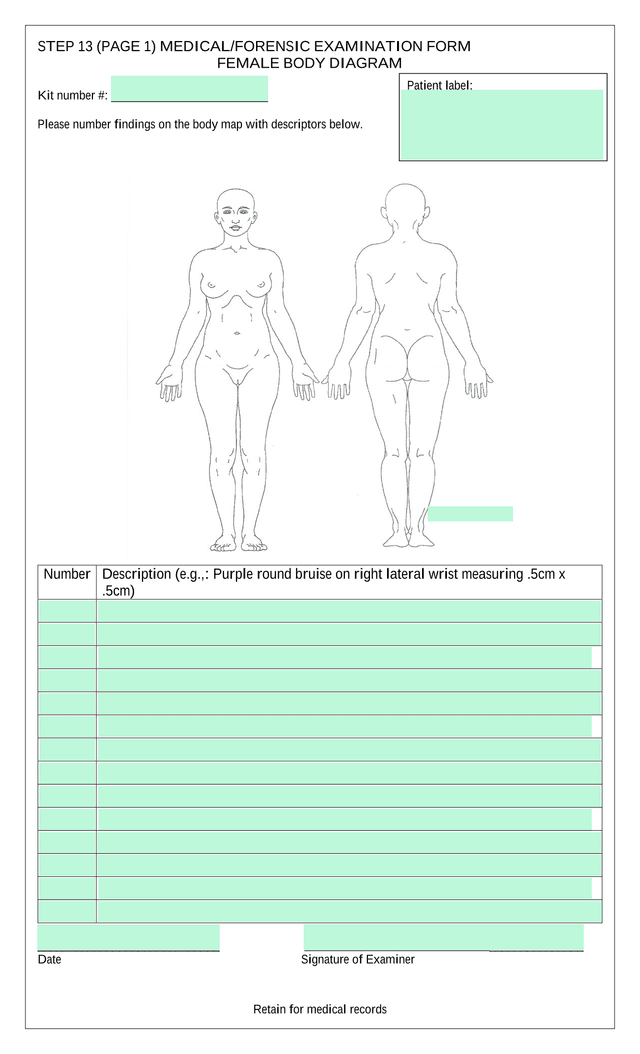 MedicalForensic Examination Form screenshot