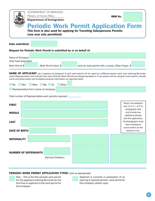 Periodic Work Permit Application Form screenshot