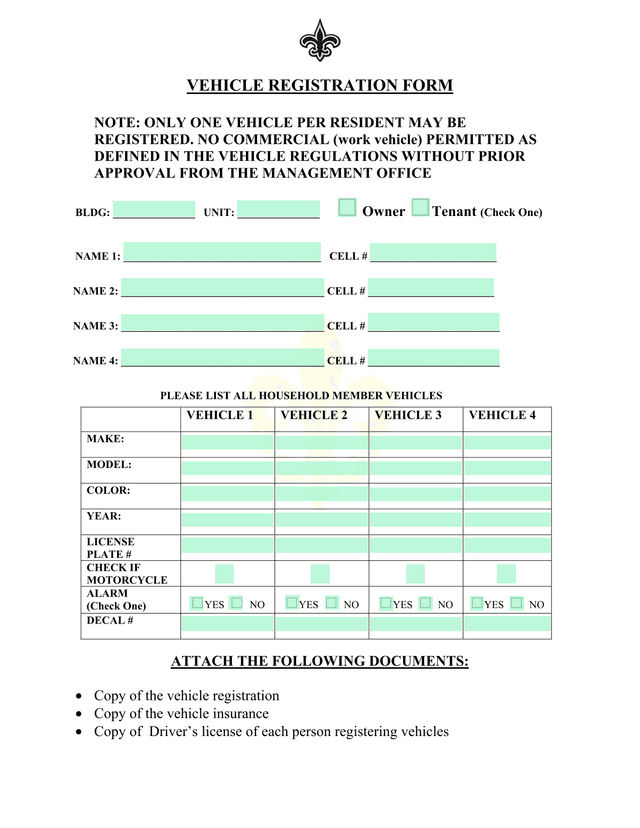Vehicle Registration Form screenshot