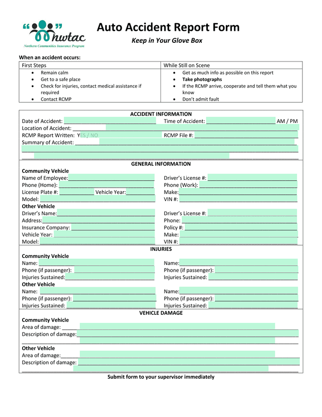 Auto Accident Report Form screenshot