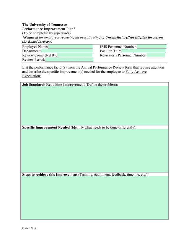 Performance Improvement Plan screenshot