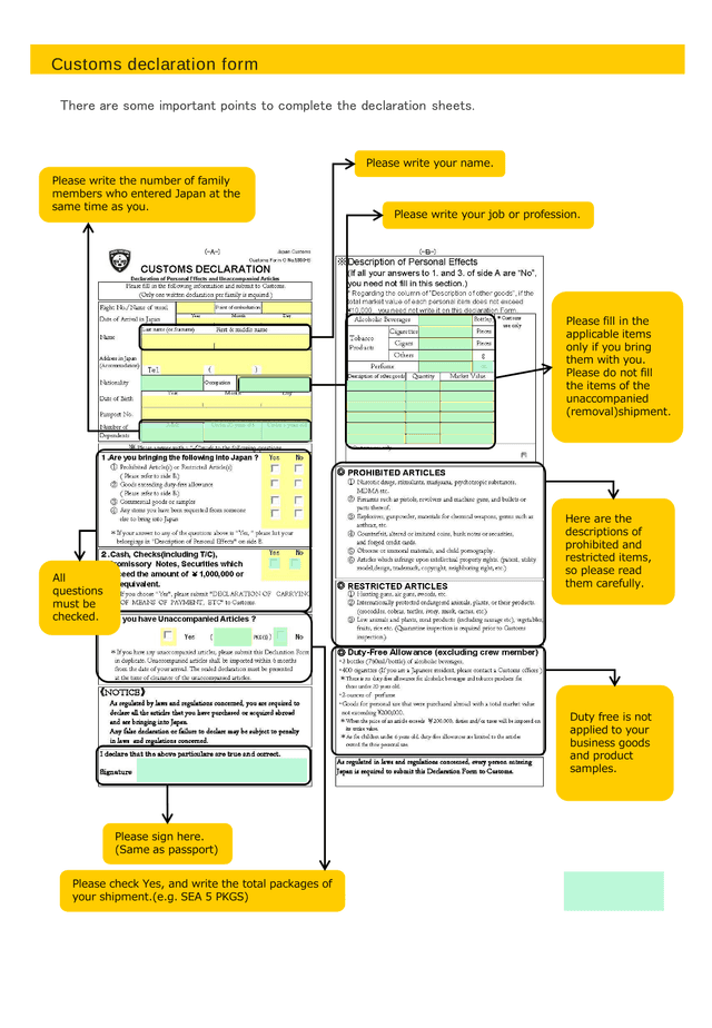 Customs Declaration Form screenshot